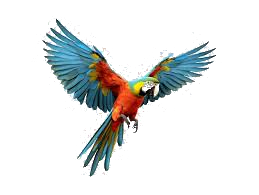 parot.png